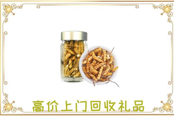 甘谷周边回收虫草